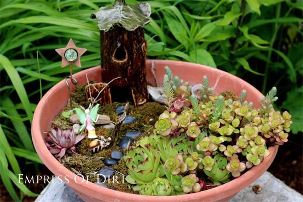 Fairy garden in a pot with succulent plants.