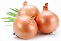 White onions