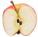 Cross-section of a red apple. 