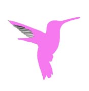 Calliope hummingbird map legend.