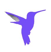 Costa's hummingbird map legend.