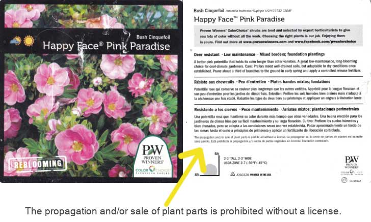 Plant tag with patent restricting propagation without a license.