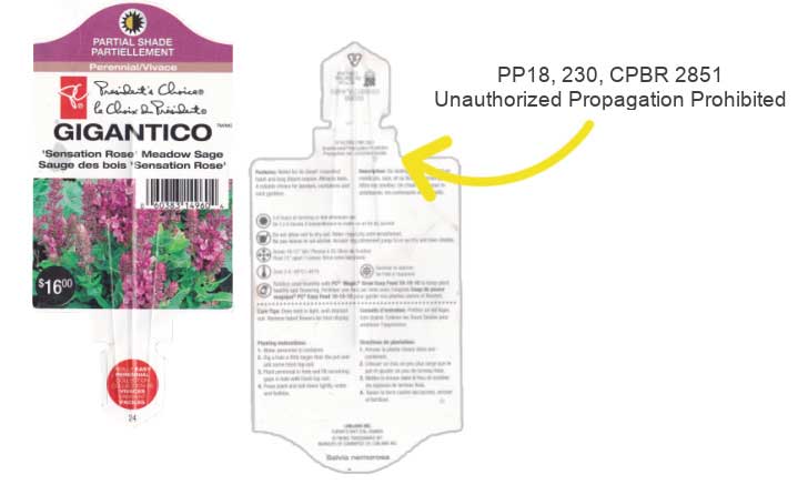 Plant tag with patent restricting propagation without a license.