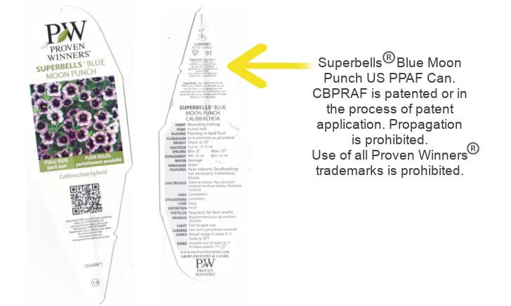 Plant tag with patent restricting propagation without a license.