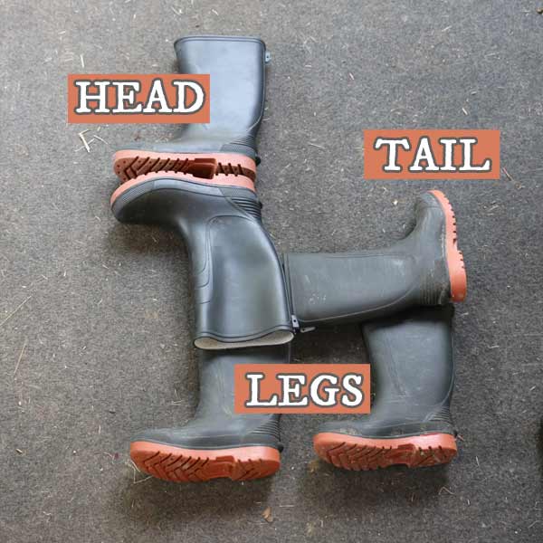 Five rubber boots laid out to form a dog shape. 