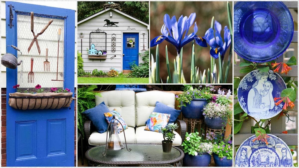 Blue-themed garden decor including plates, cushions, art, and doors.