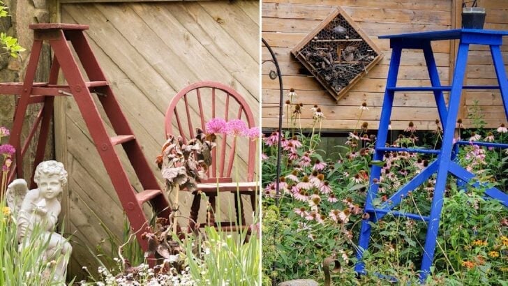 Garden art ladders in the garden.