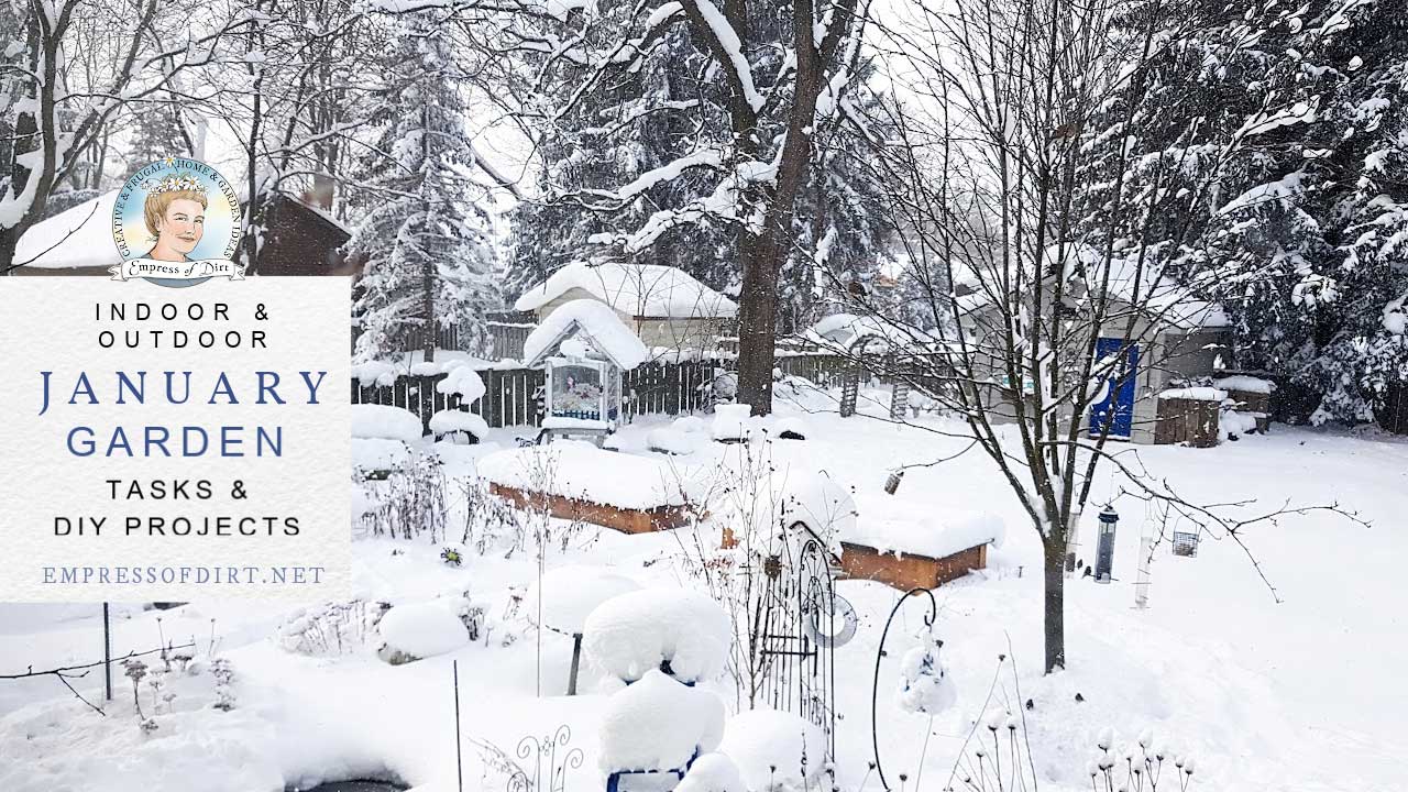 January garden tasks by Empress of Dirt Snowy winter garden in January