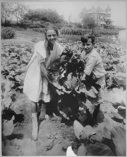 Boy and girl holding massive cabbage plant in garden.