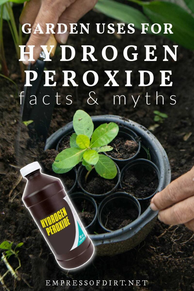 Bottle of hydrogen peroxide and plants in the garden.