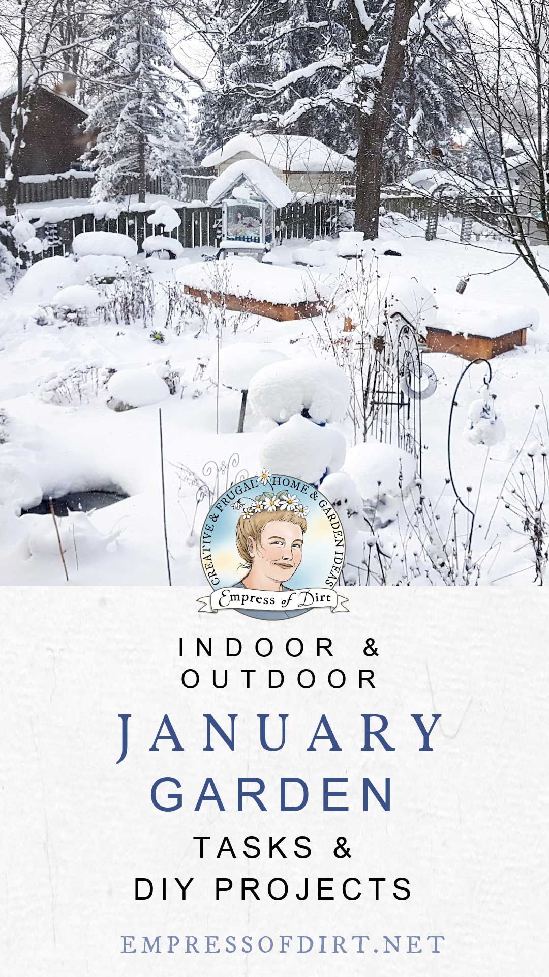 Snowy winter garden in January