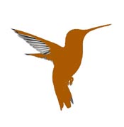 Rufous hummingbird map legend.