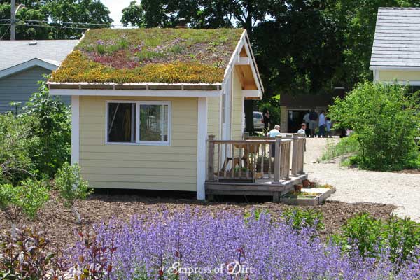Garden shed with sedum roof.