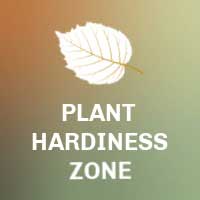 Plant hardiness zone.