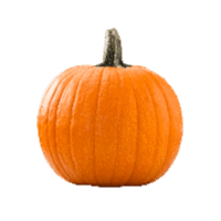 Orange pumpkin.
